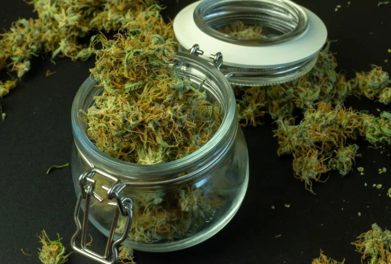 Weed-Delivery-&-Dispensary