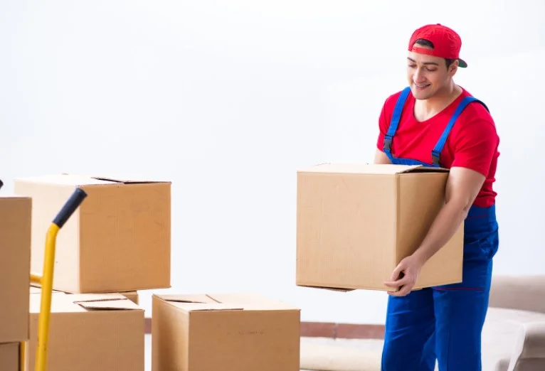 Office-Removals