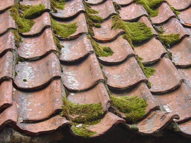 Roof-Leak