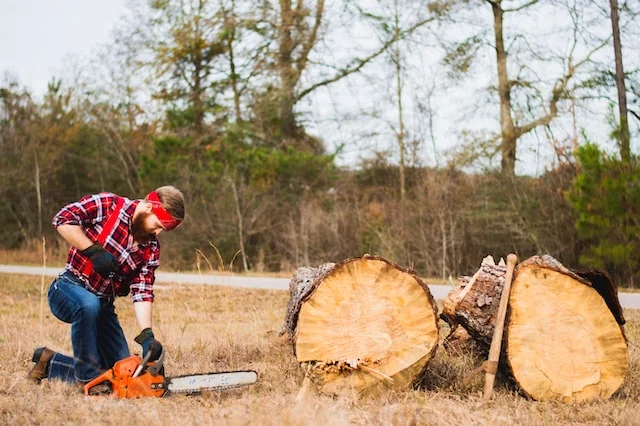 tree-removal