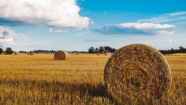 Hay-Bales