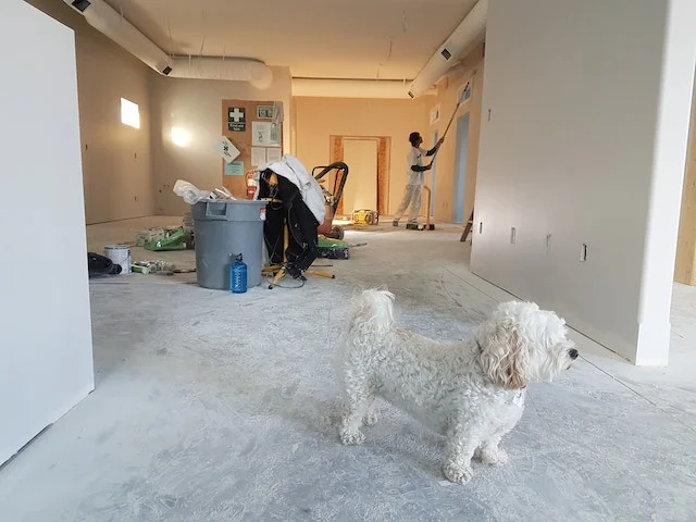 Home-Improvement