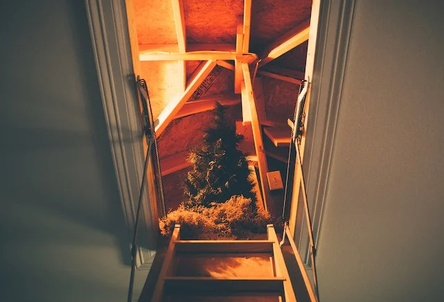 Replace-Your-Attic-Insulation