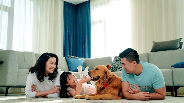 Living-With-Pets