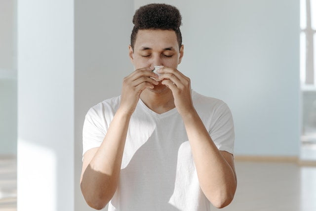 Tips for Reducing Allergy Symptoms Indoors