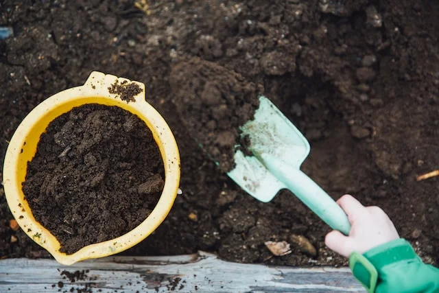 Organic-Compost