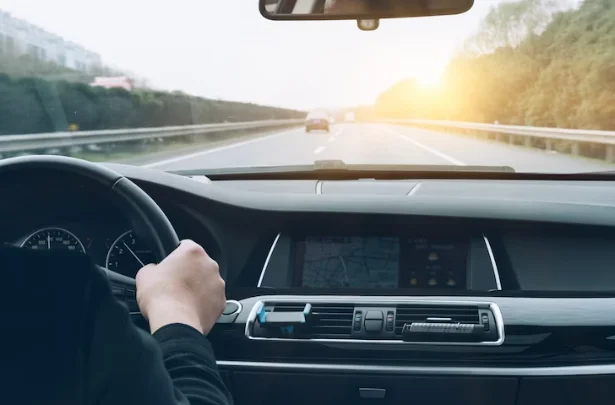 Driving-Milestones